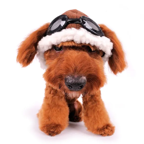 DOGO Aviator Hat