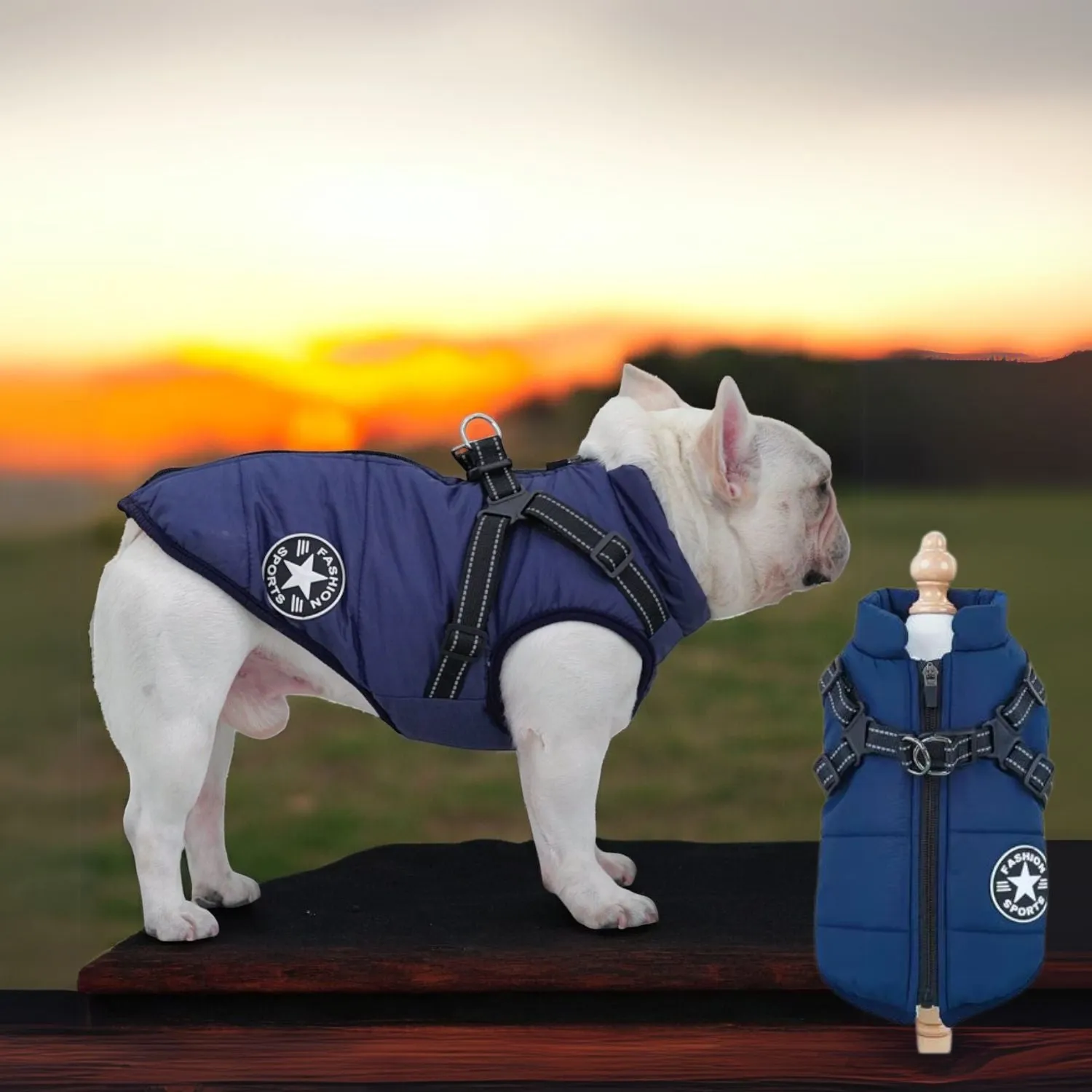 FrostGuard Winter Waterproof Frenchie Harness Jacket